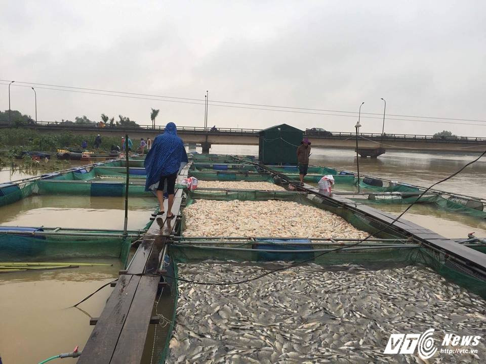 23167510_1928097497242935_6190043899636842709_n