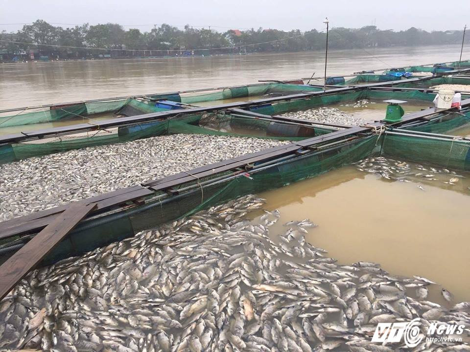 23244034_1928097320576286_5119033213345500509_n