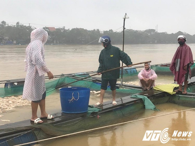 23314494_1539254796164569_1047247054_o 4