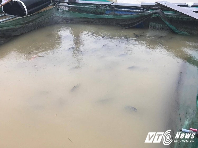 23335745_1539250206165028_526969517_o 14