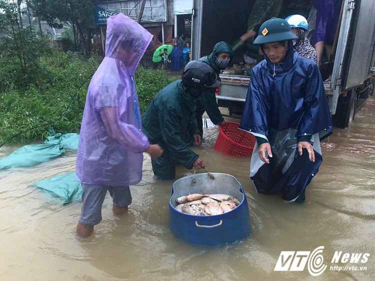 23376947_1539250029498379_1138628402_o 11