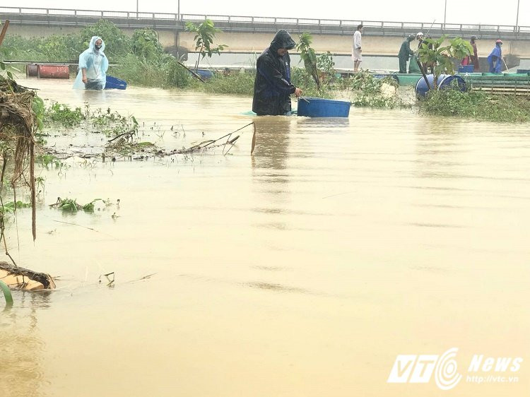 23379694_1539250149498367_1177406573_o 10