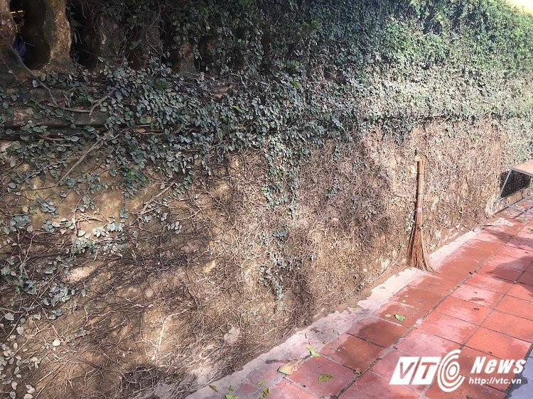 23482889_1542281305861918_169699291_o 13