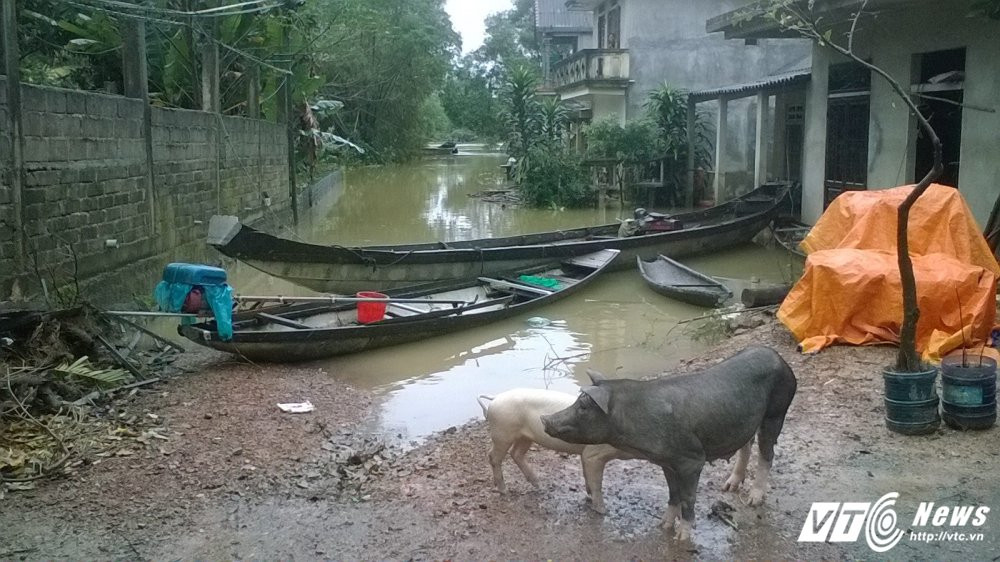 23736306_1459358007515267_1134707113586888293_o