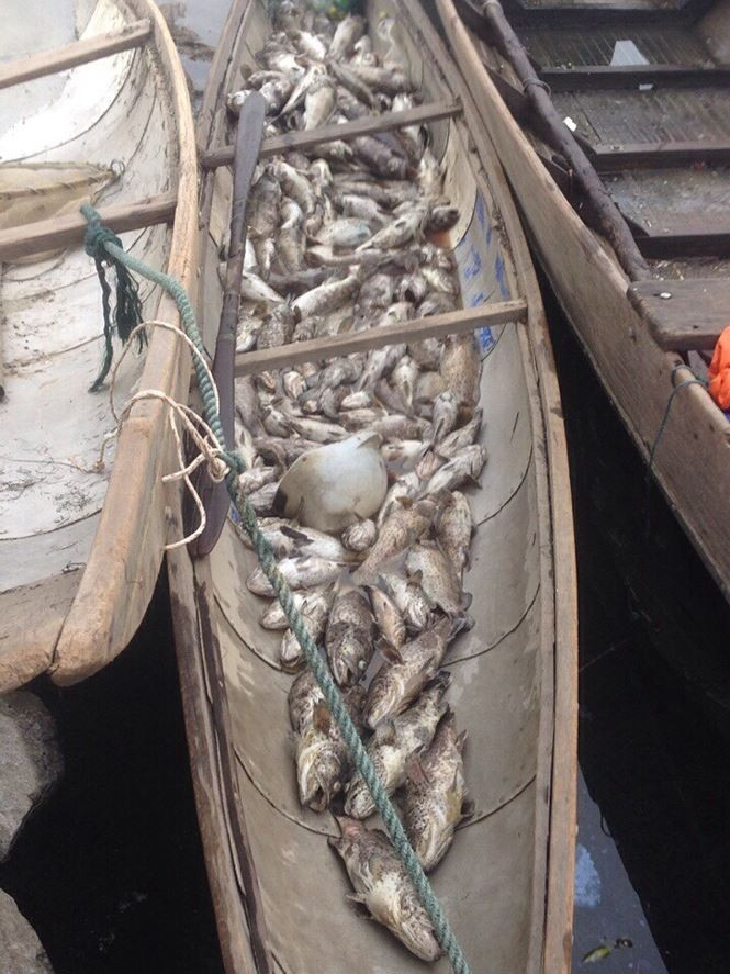 img_20171128_194431_abjb