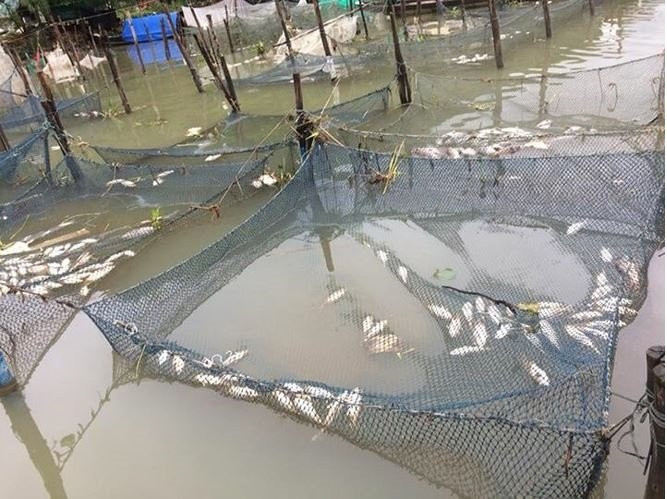 img_20171128_194440_daoi