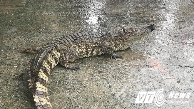 24740582_1274237339386458_1015578366_n