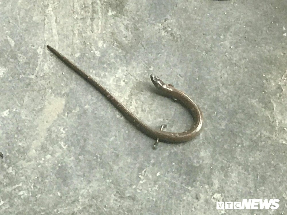 26909272_1615170955239619_1843155040_o