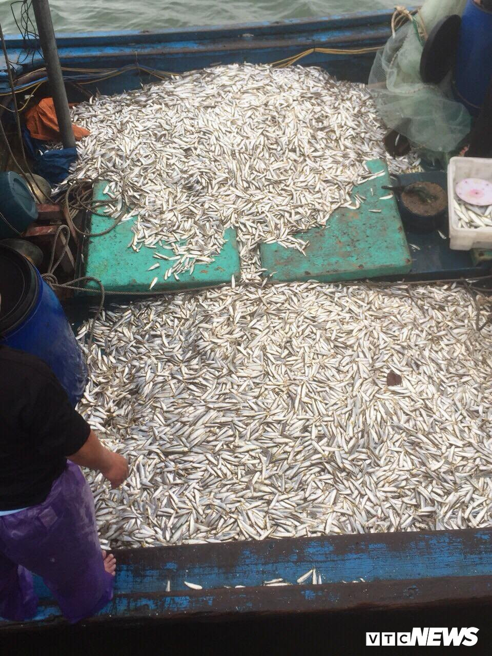 28417416_1660255327397848_174701621_o