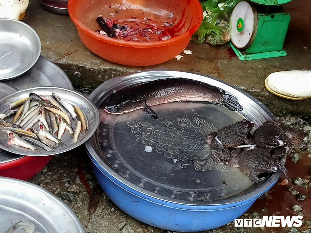 28461606_1395342323908893_188858694_o