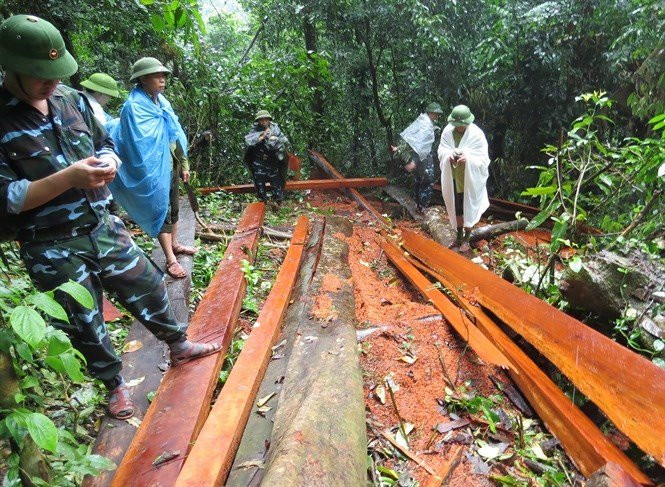 dieu-tra-vu-pha-rung-o-quang-binh-nguoiduatin