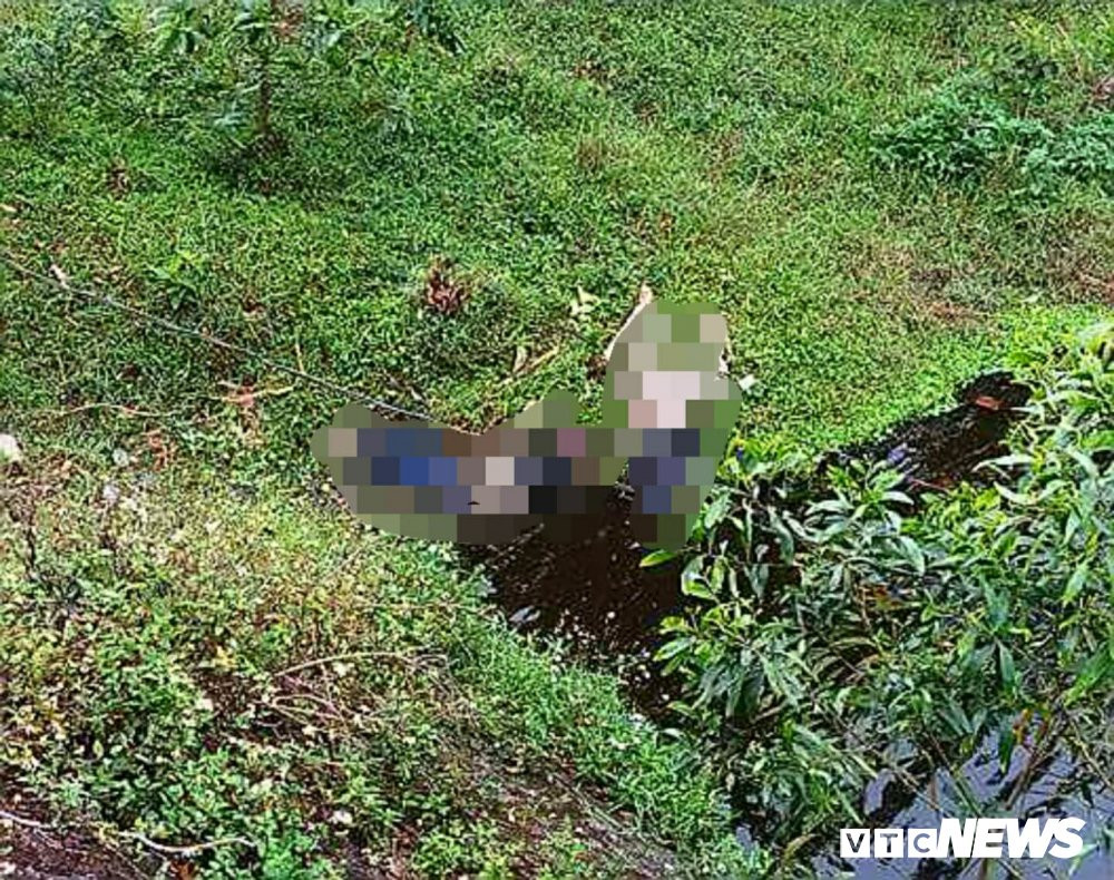 29388932_1697466783676702_4954075283641597952_o