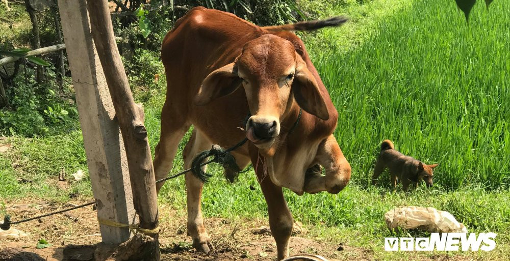 29513361_1703810509708996_1079109475_o 3