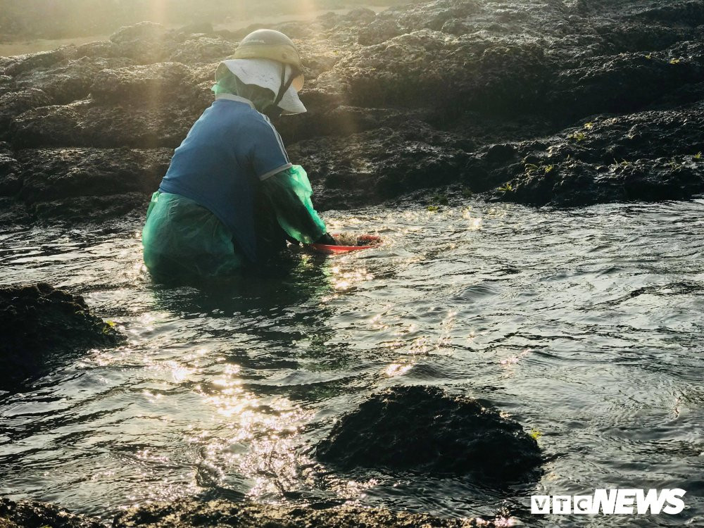 29831023_1712197812203599_1933165059_o 11