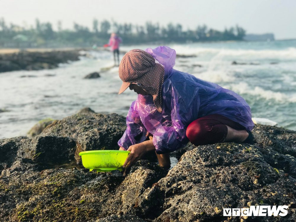 29831091_1712198092203571_1523459927_o 8