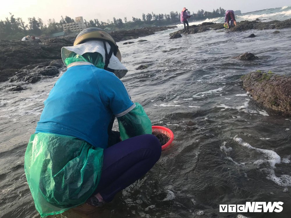 29831363_1712197255536988_783176665_o 4