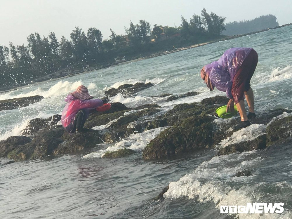 29831367_1712197715536942_794064060_o 3