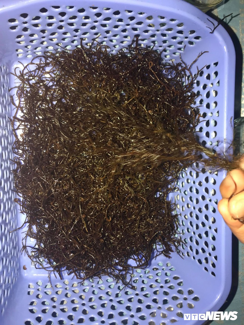 29831417_1712177642205616_1524571560_o 13