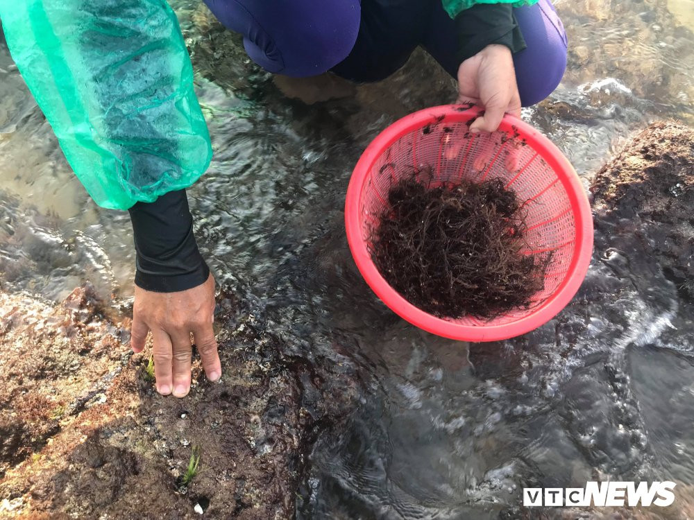 29831606_1712197172203663_2057266453_o 16