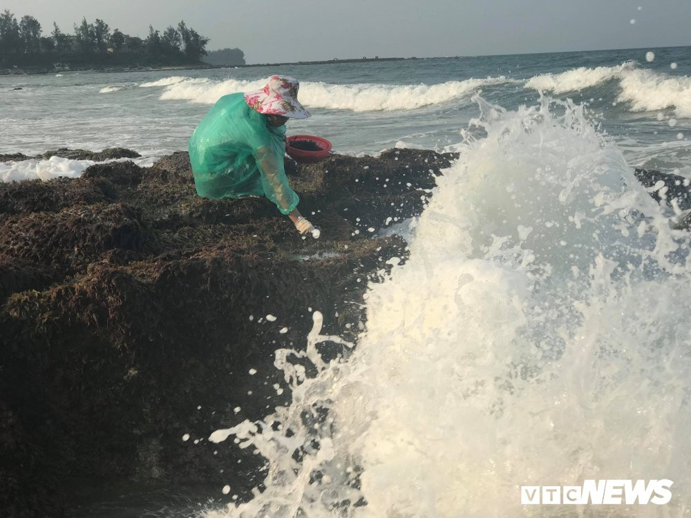 29831635_1712196595537054_1182387696_o 12