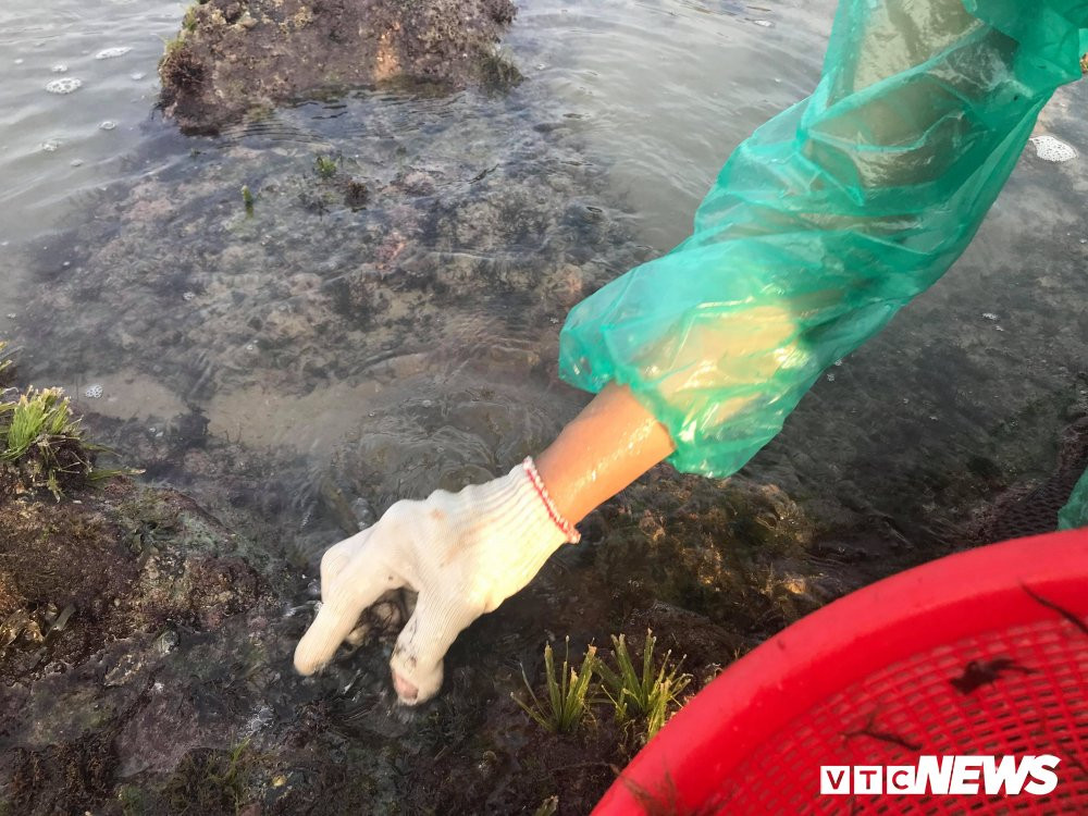 29884608_1712178855538828_1061568416_o 7