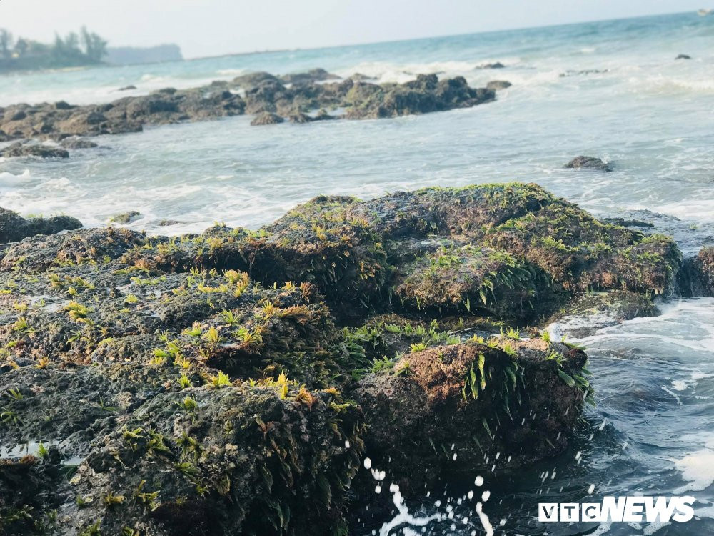 29893452_1712198192203561_516873461_o 6