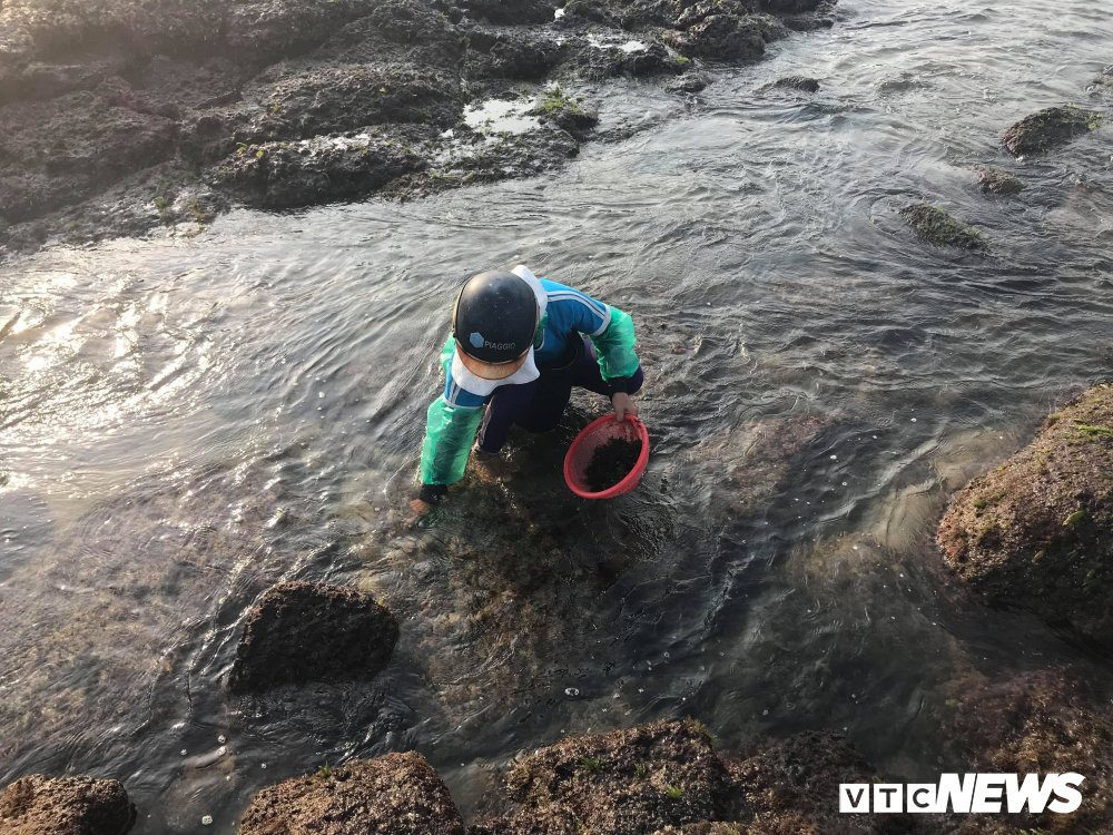 29942817_1712197505536963_578262499_o 10