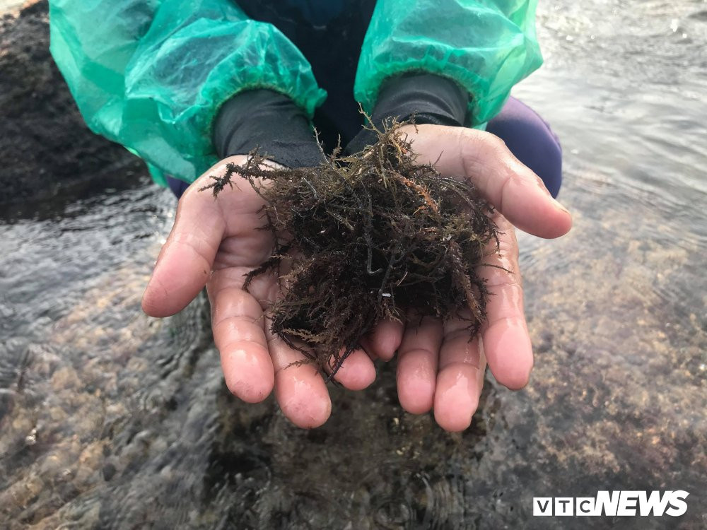 29993713_1712197372203643_59113572_o 9