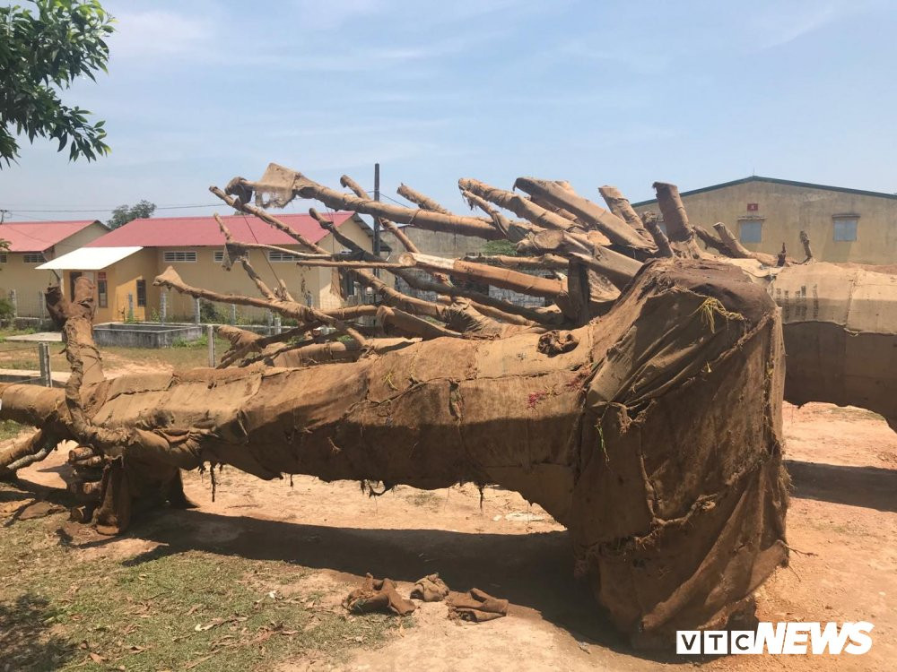 29995393_1715420275214686_904009158_o