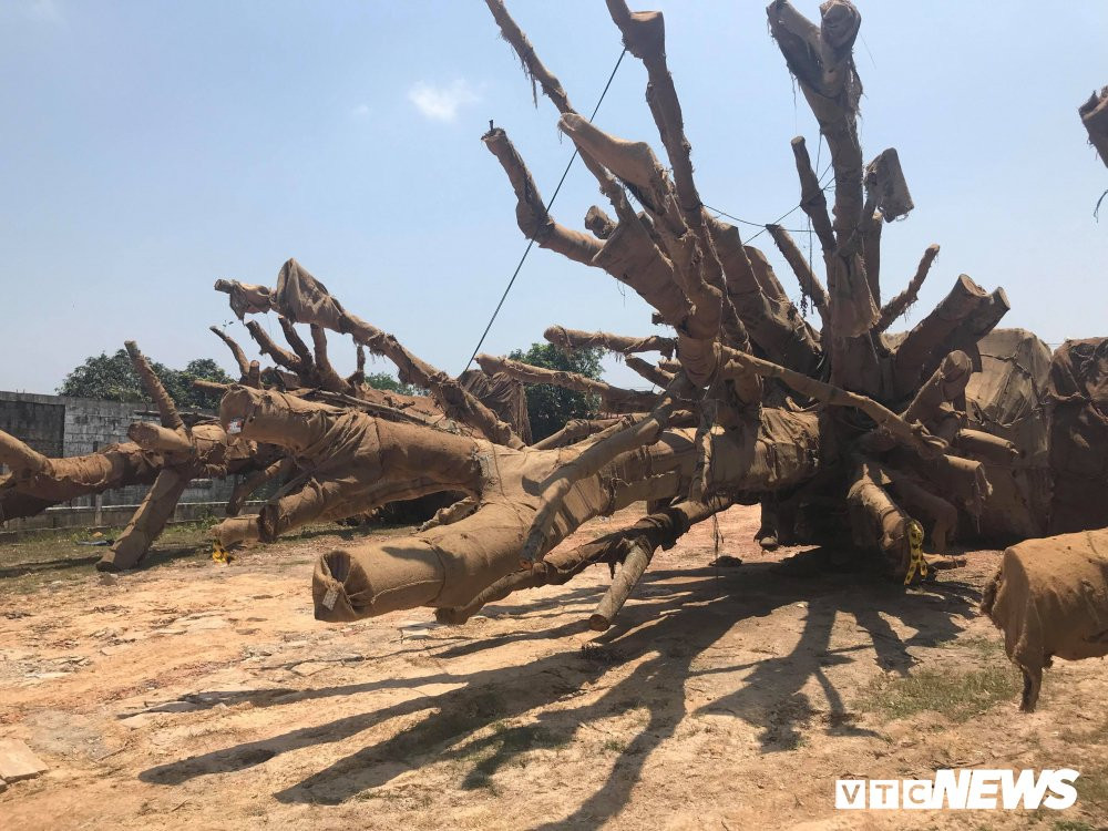 30122276_1715419741881406_388799103_o 5