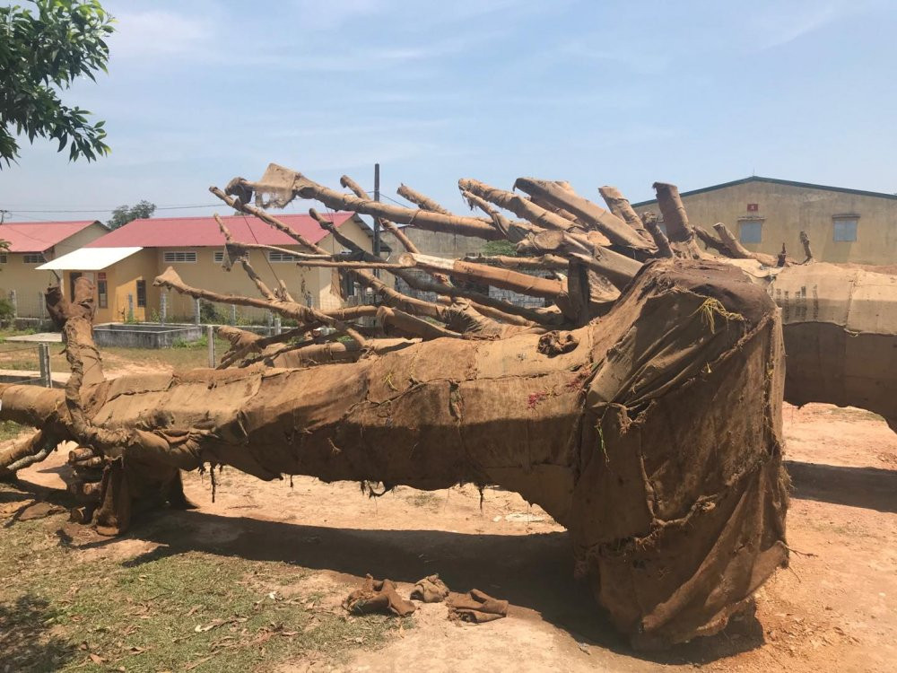 29995393_1715420275214686_904009158_o