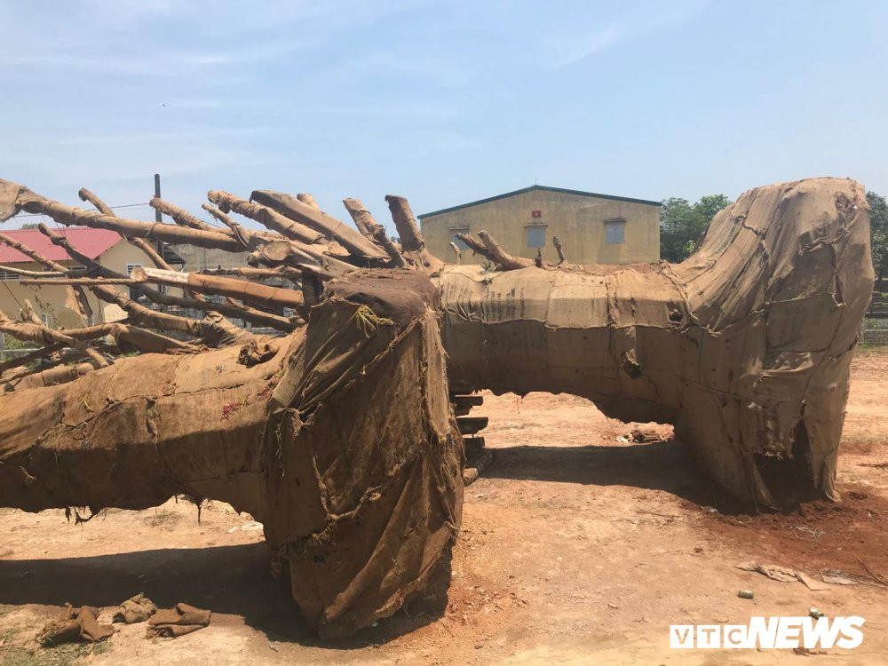 29994319_1715420351881345_1753087804_o