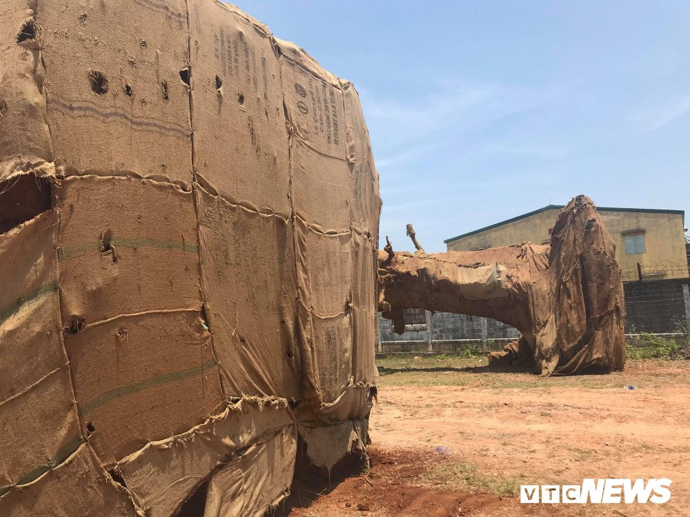 30069957_1715419635214750_1552723141_o 3