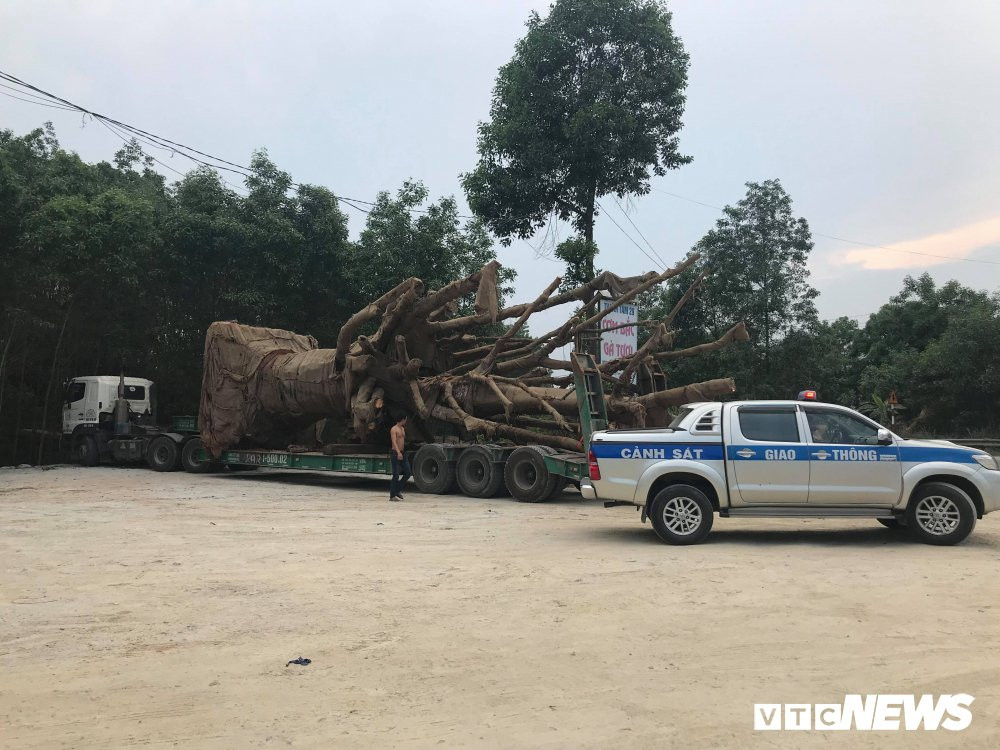 30708067_1728789147211132_2044782630536216576_n