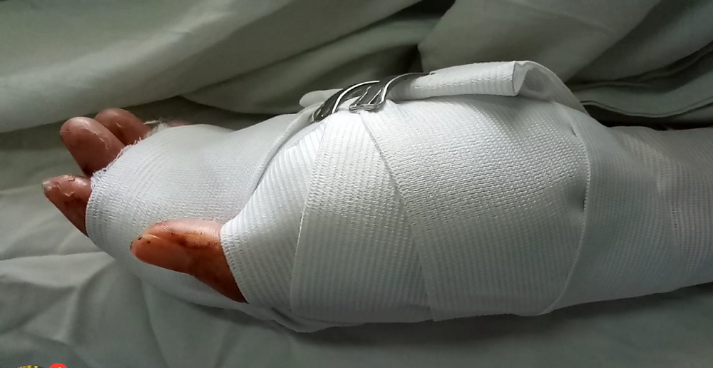 31064464_1267152800087546_706833964882460672_n