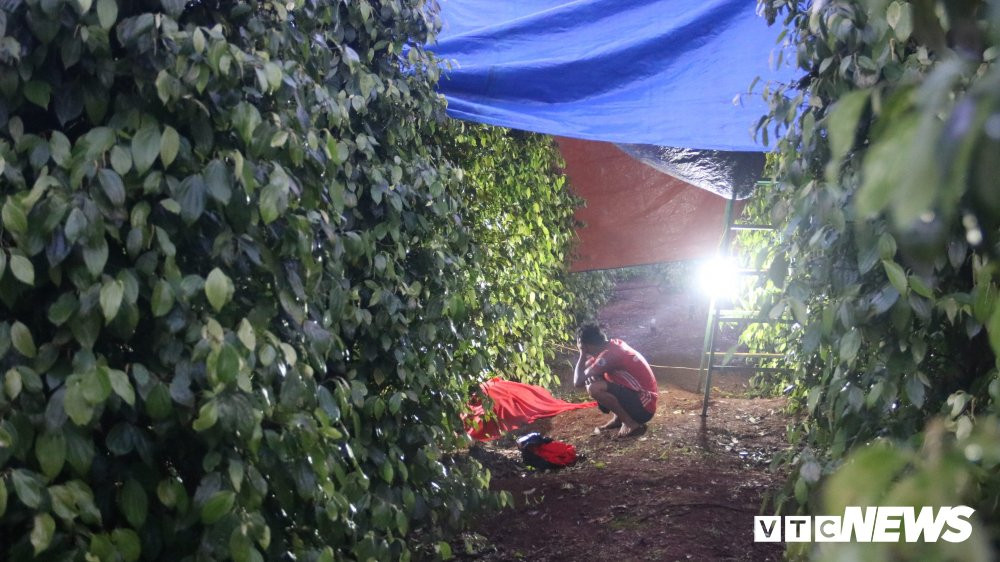 34070257_135429370659776_8805011891165331456_n