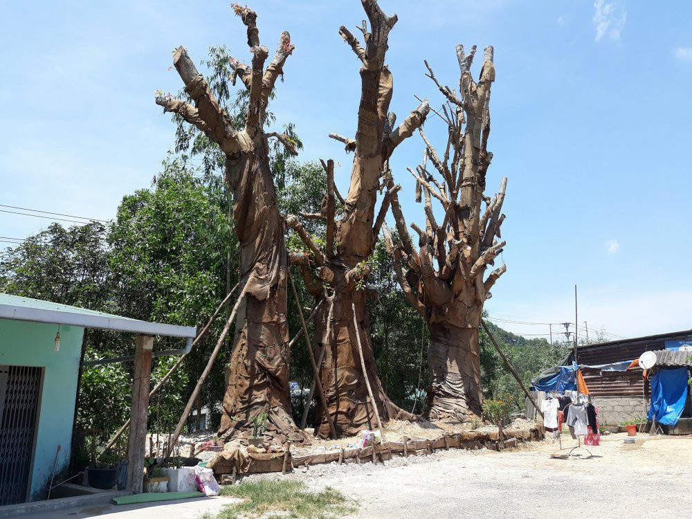 31925101_2009432029280227_2610677230715535360_n-4-2156052