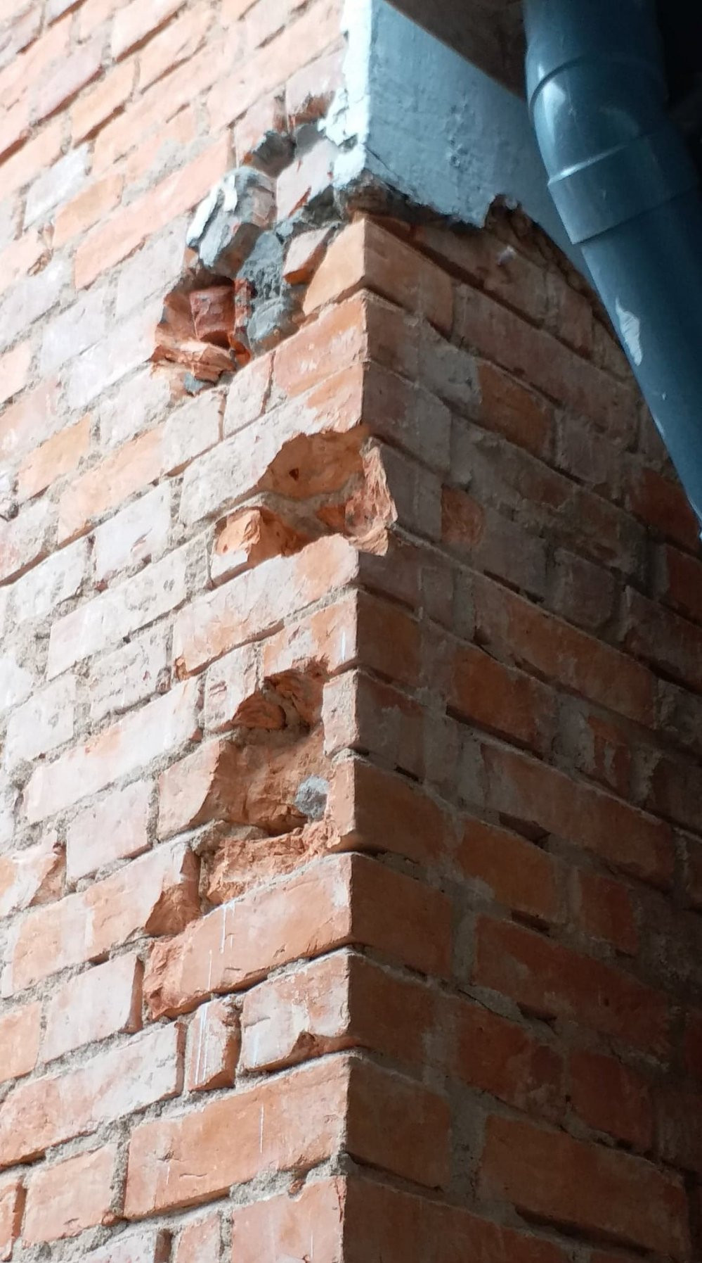 34443334_2119769228039484_3219296980144488448_n 4