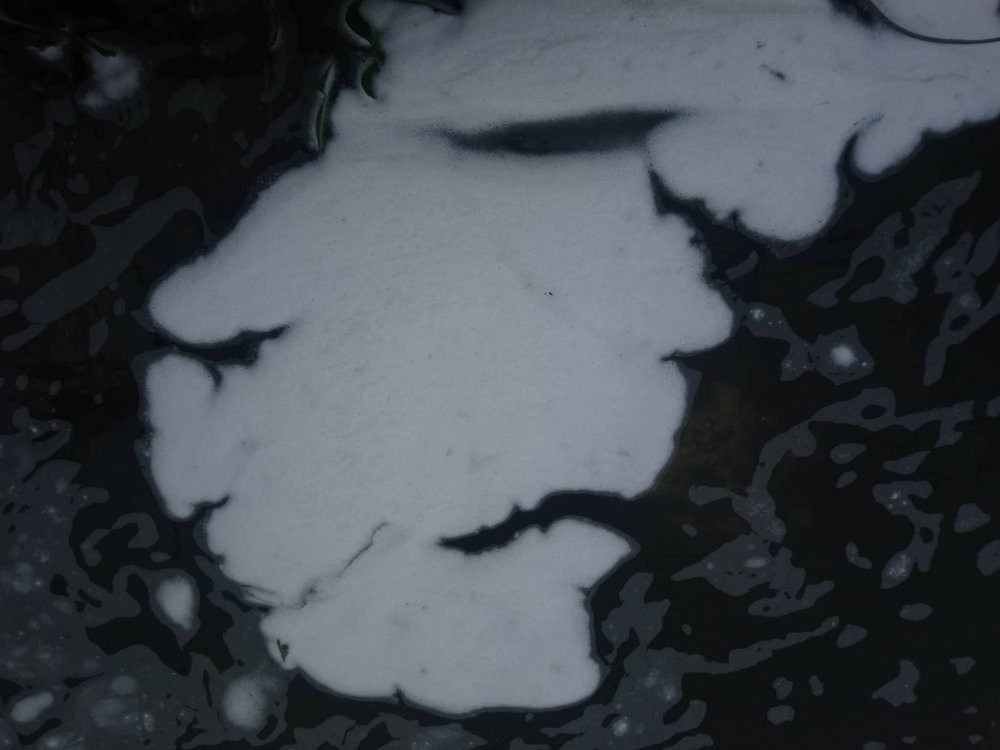 37839782_1562075603902230_3831175355620655104_n 5