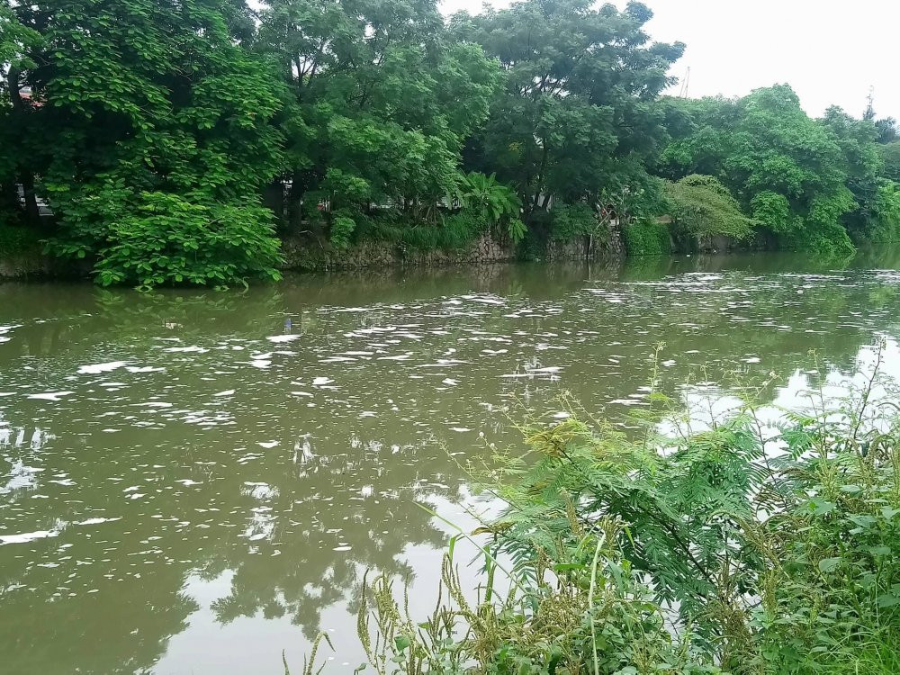 37844354_1562075963902194_2049550568220786688_n 4