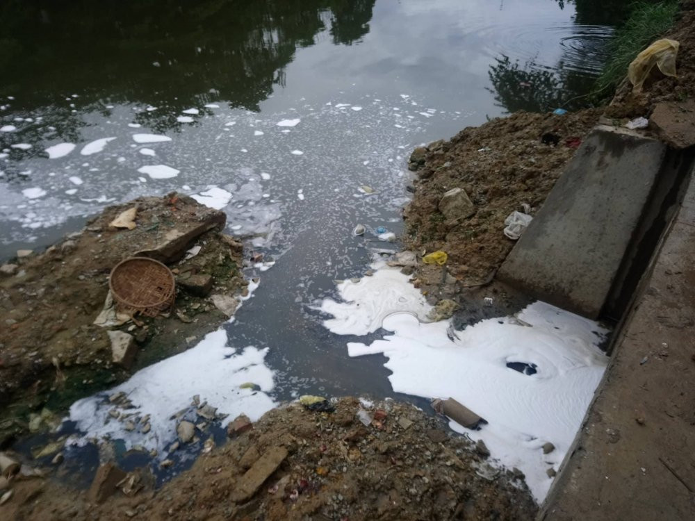 37874397_1562076047235519_5574006770042404864_n 6