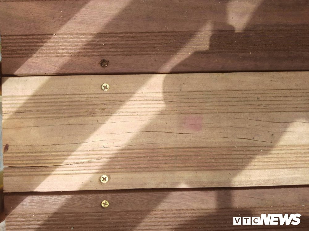 39569923_224281741582229_7589570141063479296_n