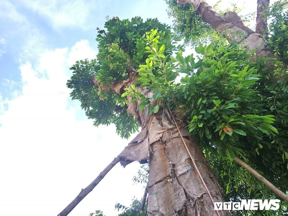 39936644_261289247823921_4368462179368697856_n 3