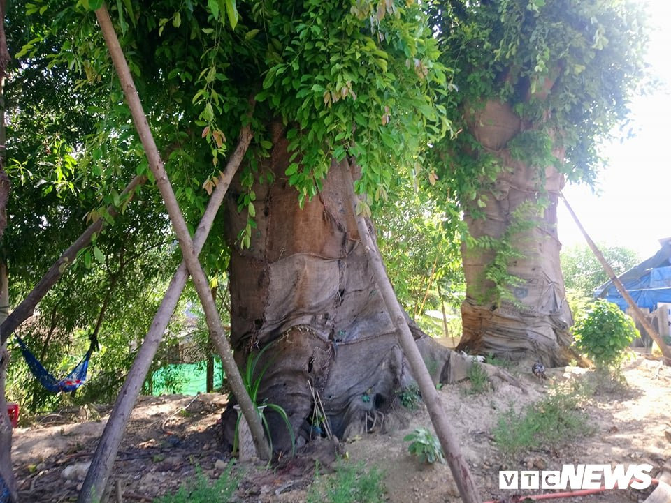 39952070_466793530473248_5660542398187438080_n