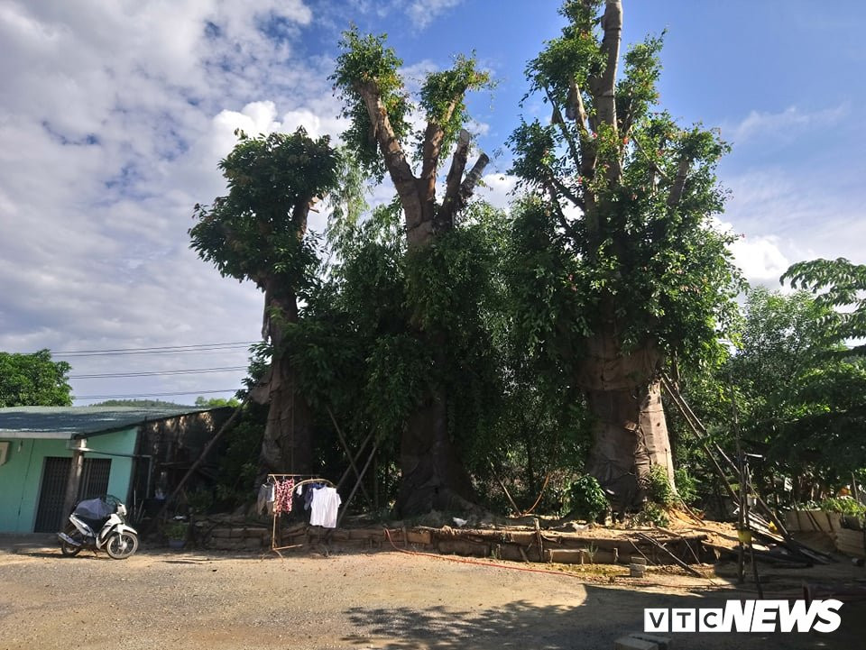 39967465_1364240020374058_408399472284925952_n