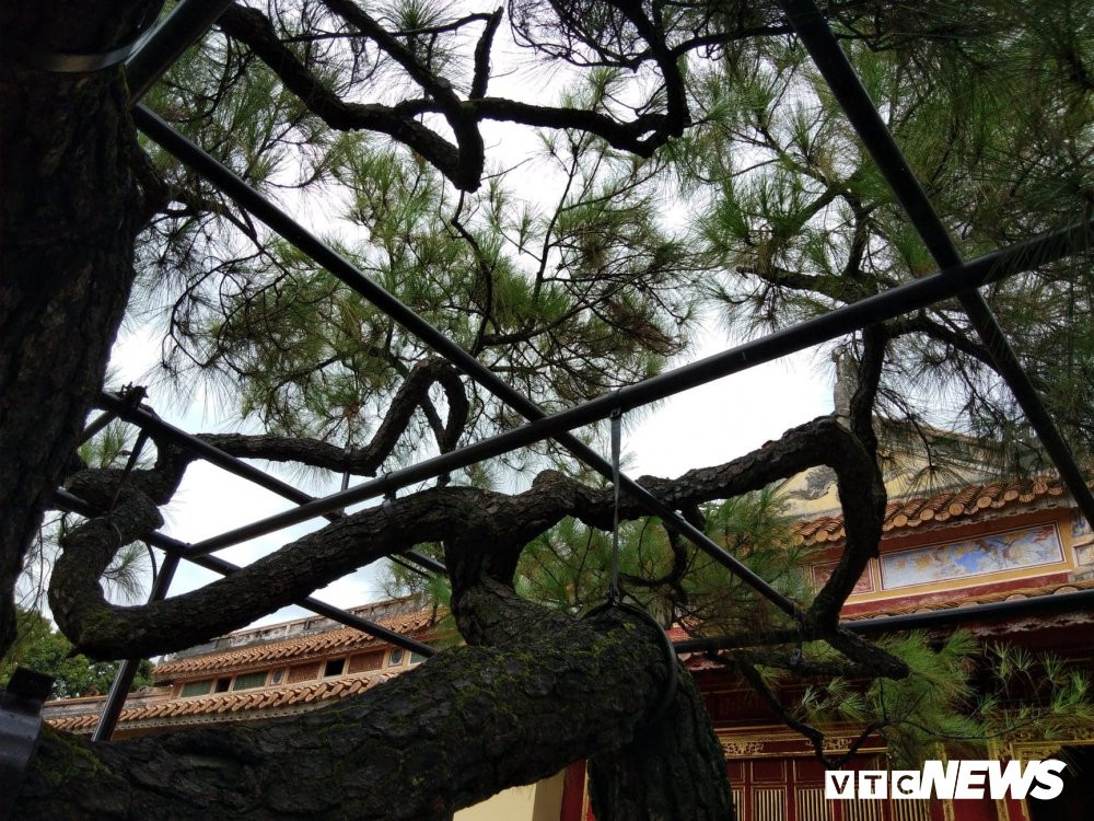 40192366_1099362086887380_8854775229092724736_n 11