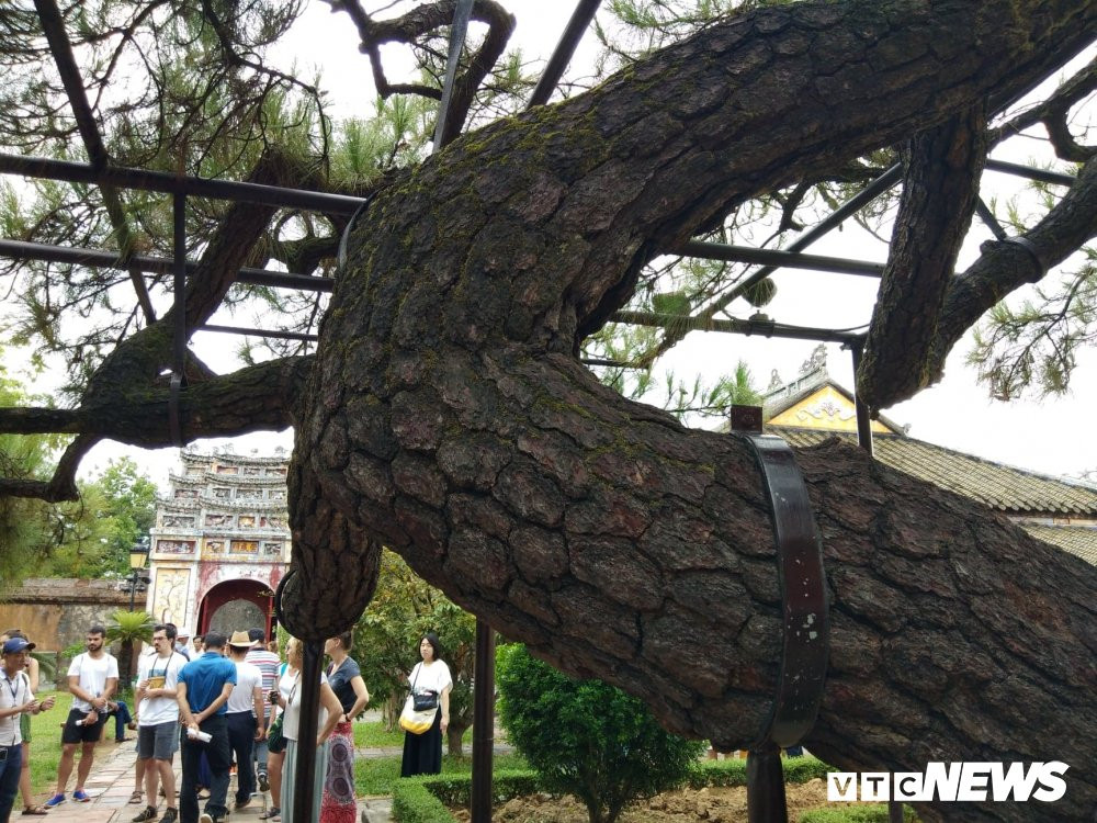 40222283_572288459852521_6942772972801228800_n (1) 5