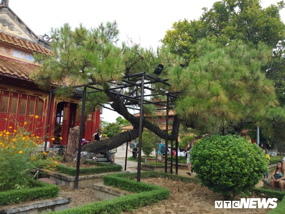 40325557_679308022447740_4760090736370647040_n 3