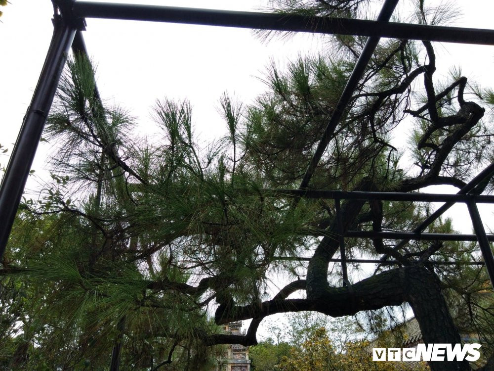 40326668_870054663384536_3459763789501562880_n 6