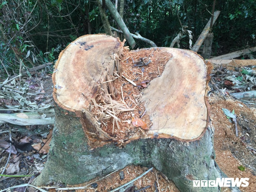 42132810_2039369326374978_4299936805089705984_n